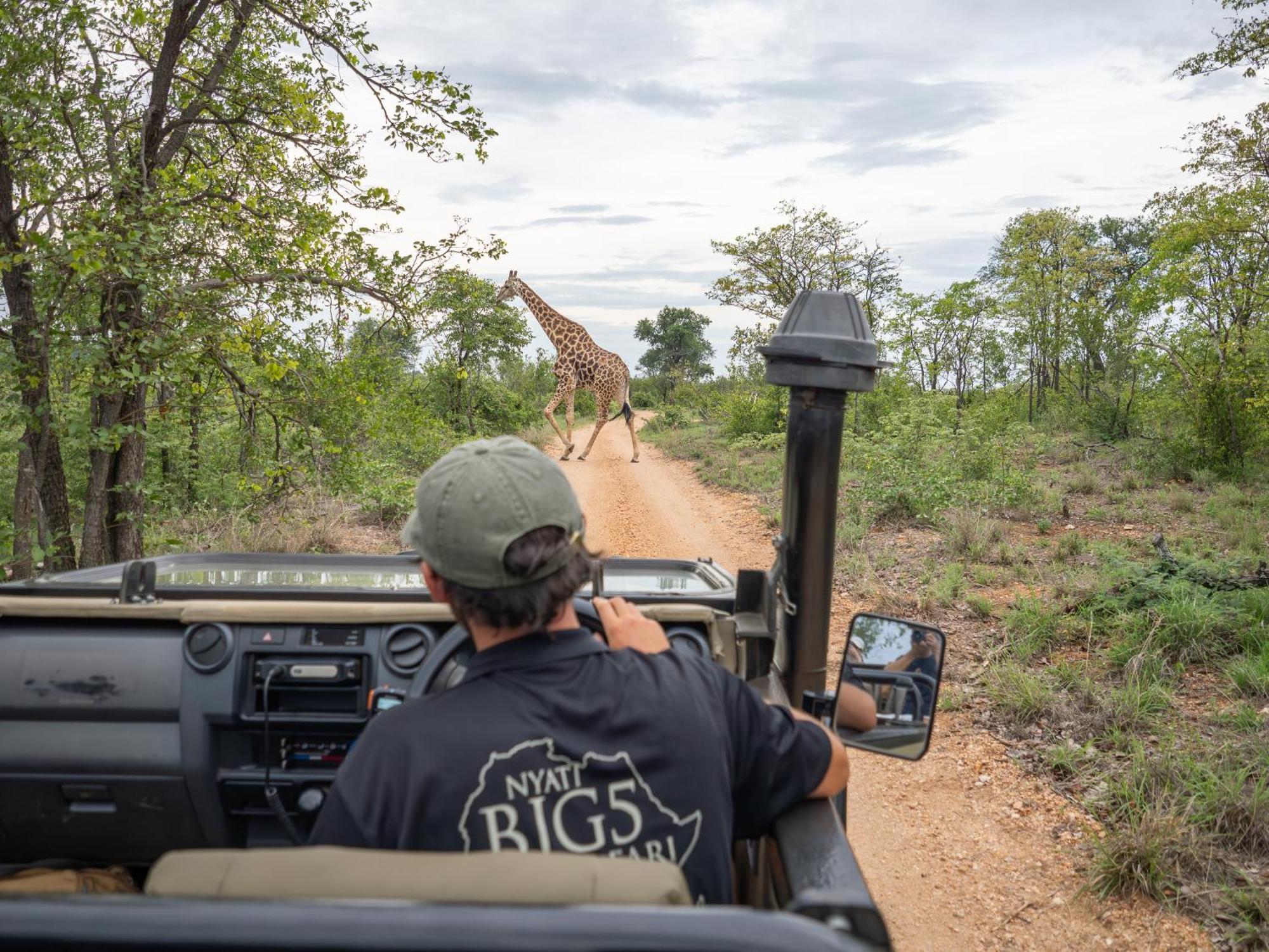 Nyati Safari Lodge フッドスプルイト エクステリア 写真